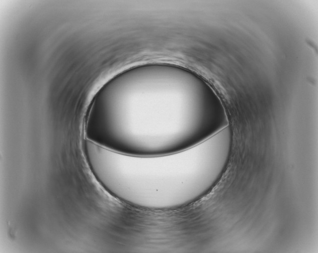 X0000094231520200710261003