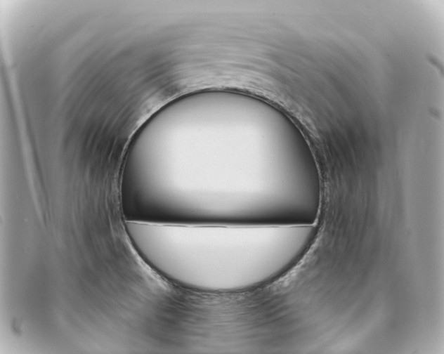 X0000094231521200710261003