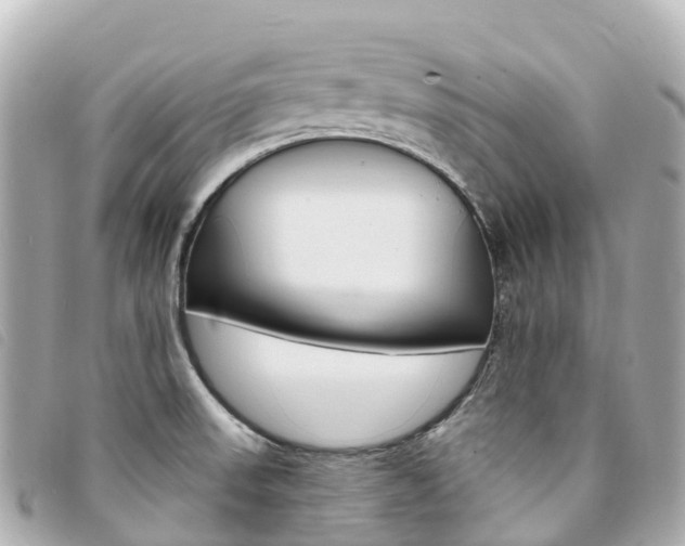 X0000094231523200710261003