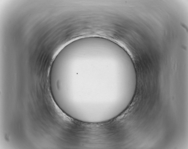 X0000094231524200710261003