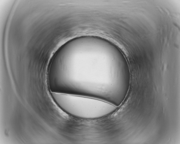 X0000094231525200710261003