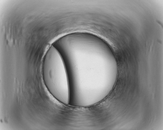 X0000094231526200710261003