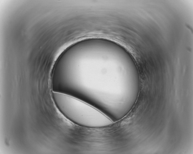 X0000094231527200710261003