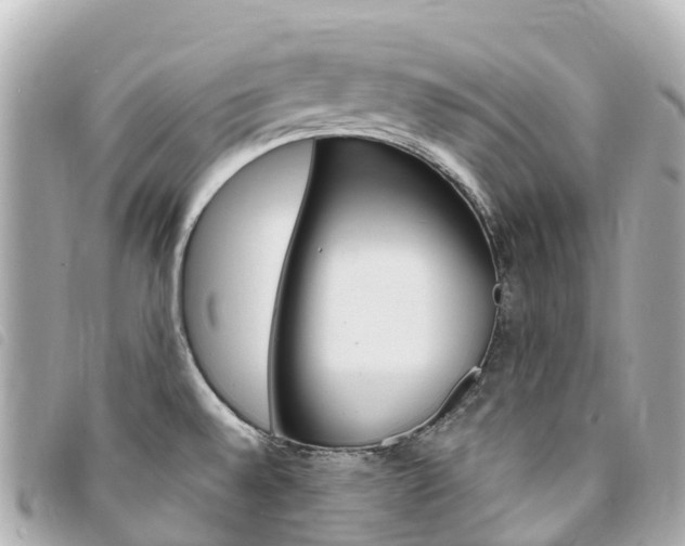 X0000094231528200710261003