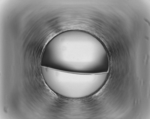 X0000094231529200710261003