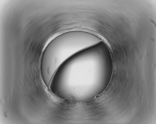 X0000094231530200710261003
