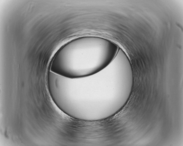 X0000094231531200710261003