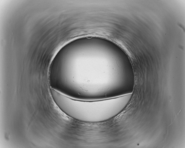 X0000094231532200710261003