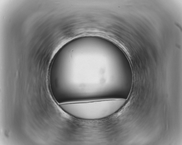 X0000094231533200710261003