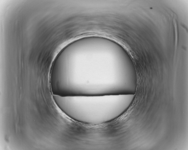X0000094231535200710261003