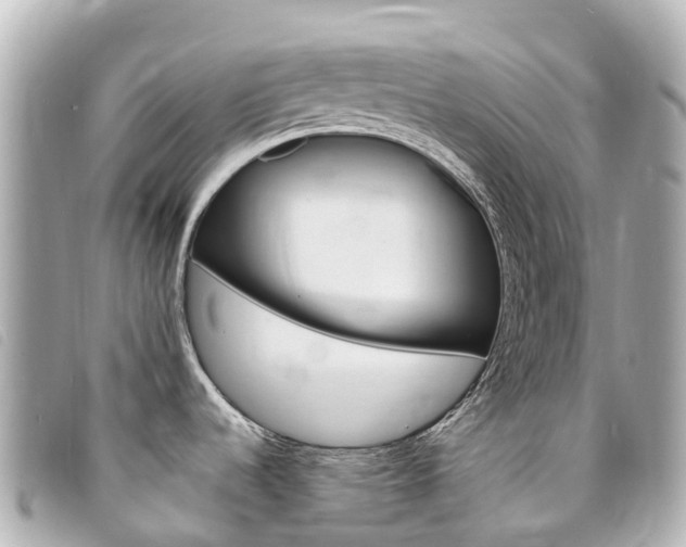 X0000094231536200710261003