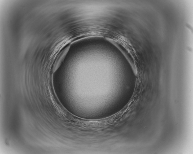 X0000094230001200710261305