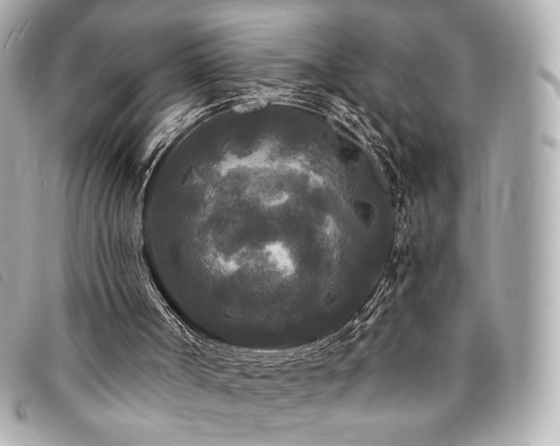 X0000094230002200710261305