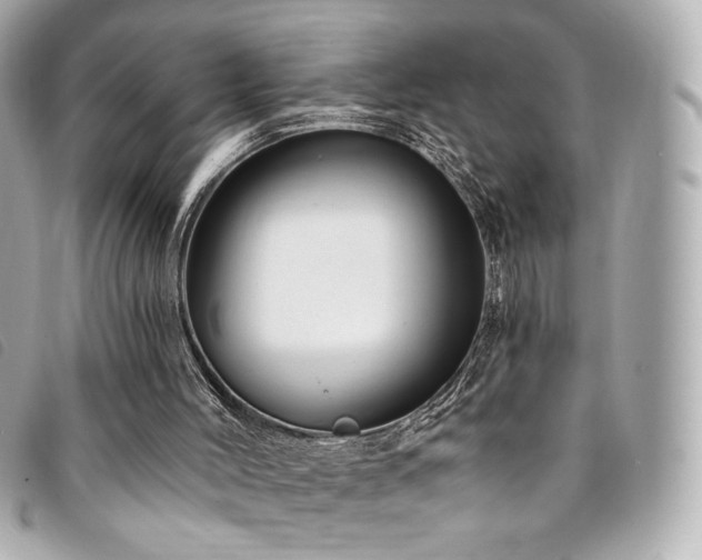 X0000094230004200710261305