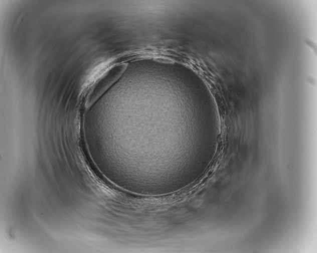 X0000094230005200710261305
