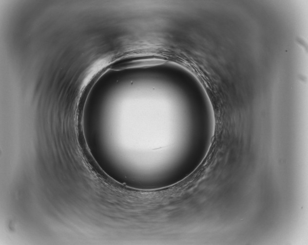 X0000094230006200710261305