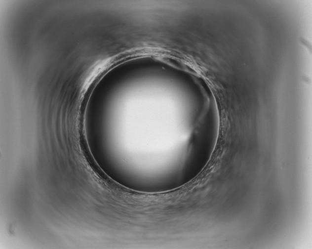 X0000094230007200710261305