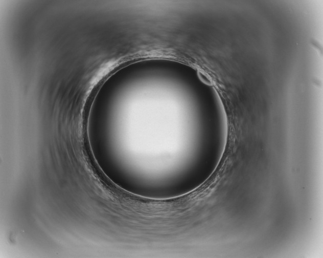 X0000094230008200710261305