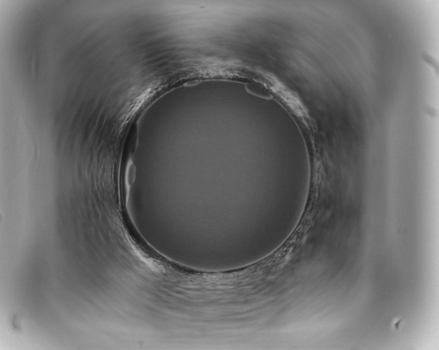 X0000094230009200710261305