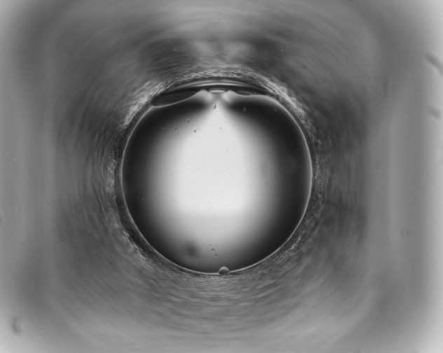 X0000094230010200710261305