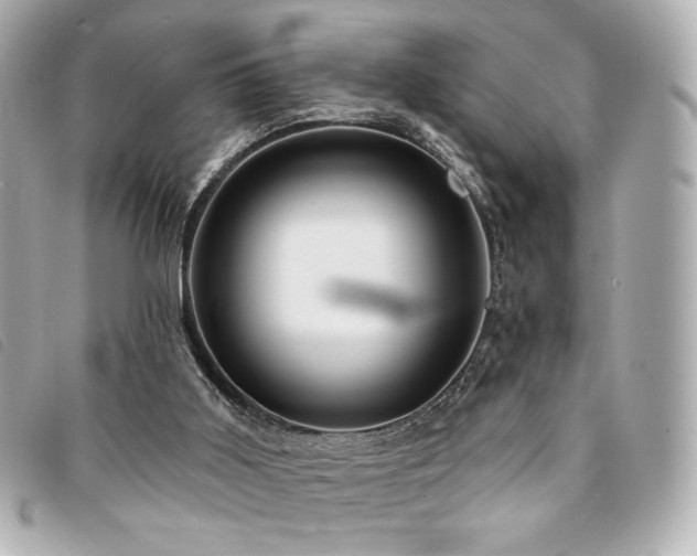 X0000094230011200710261305