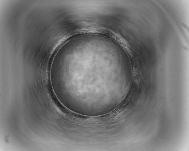 X0000094230012200710261305