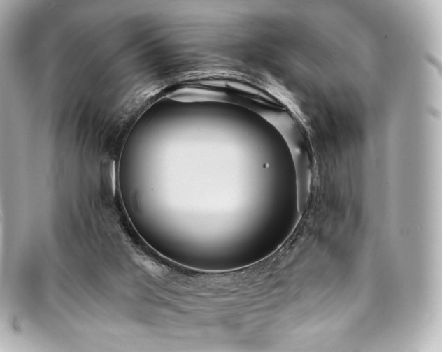 X0000094230013200710261305