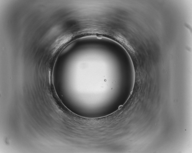 X0000094230014200710261305