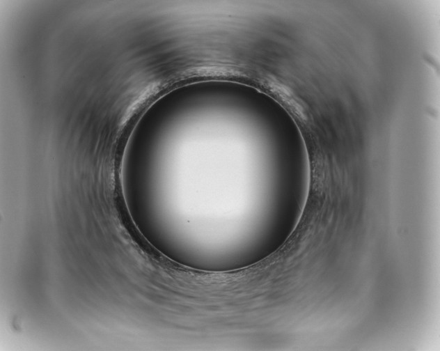X0000094230015200710261305
