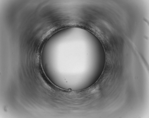 X0000094230016200710261305
