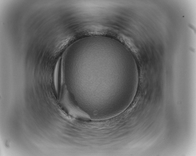 X0000094230017200710261305