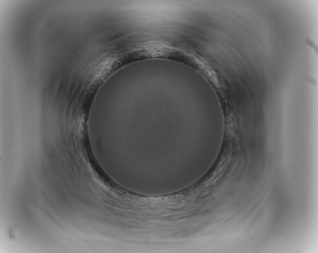 X0000094230018200710261305