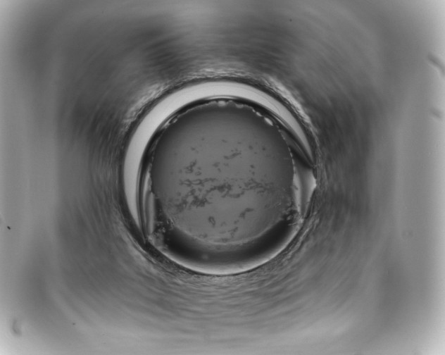 X0000094230019200710261305