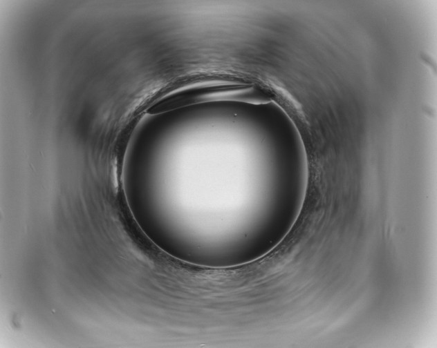 X0000094230020200710261305