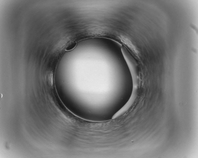 X0000094230021200710261305