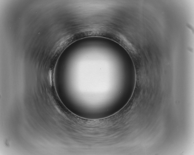 X0000094230022200710261305