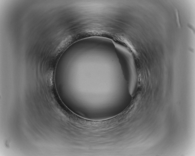 X0000094230023200710261305