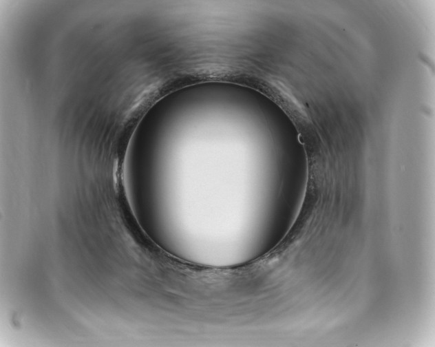 X0000094230024200710261305