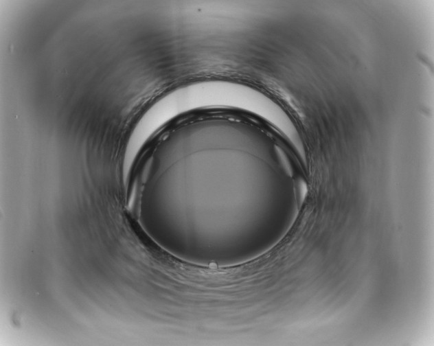 X0000094230027200710261305