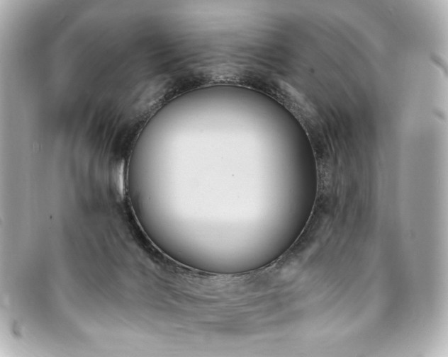 X0000094230028200710261305