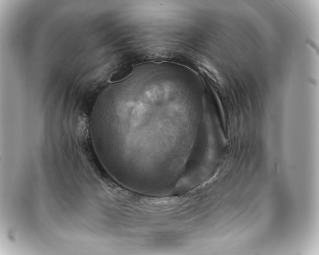 X0000094230029200710261305