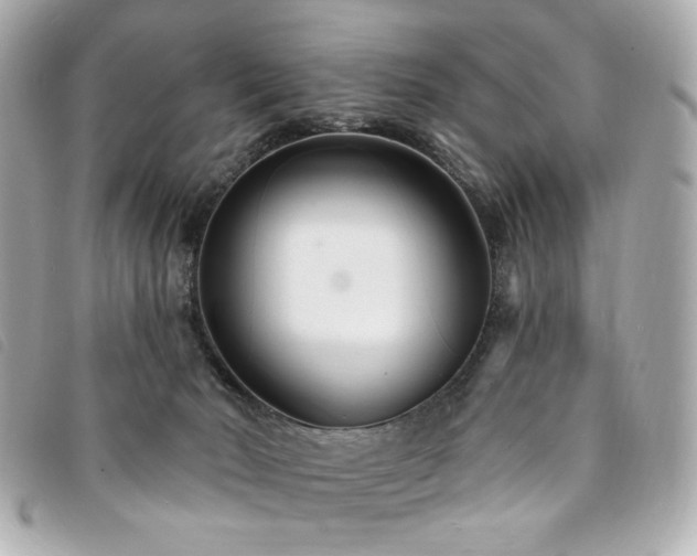 X0000094230030200710261305