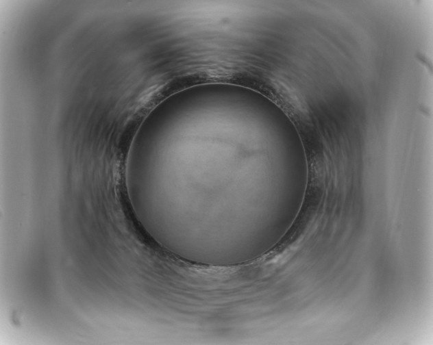 X0000094230032200710261305