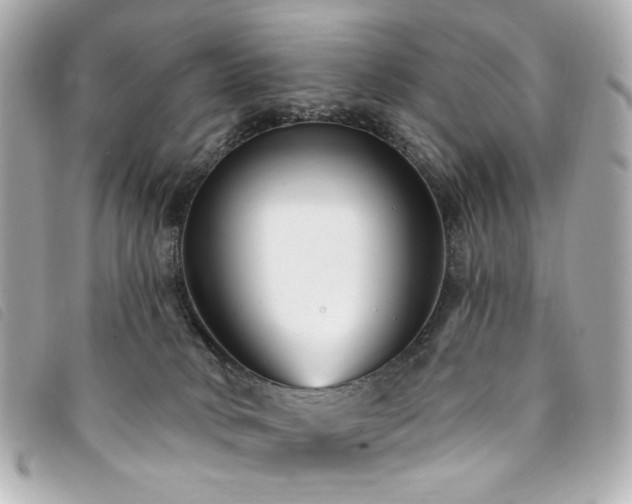 X0000094230034200710261305