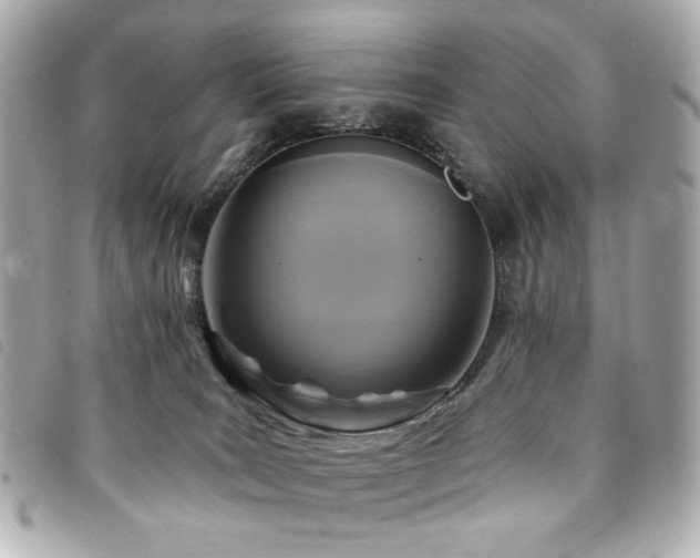 X0000094230035200710261305