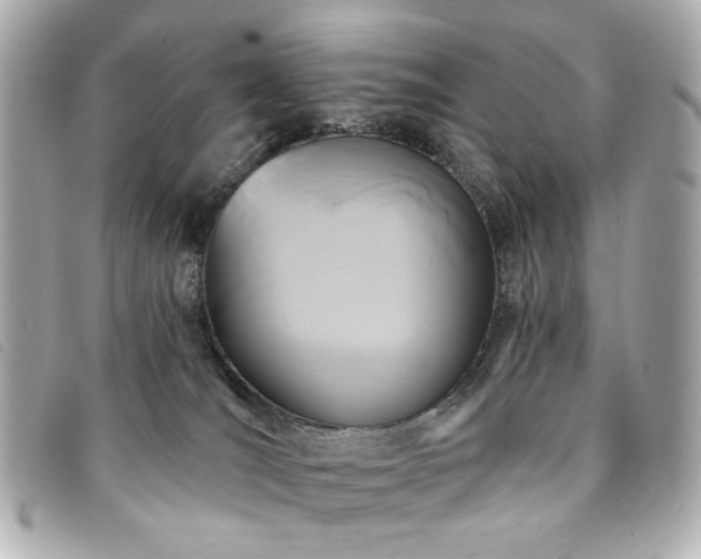 X0000094230036200710261305