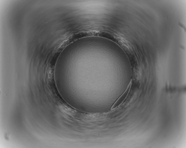 X0000094230037200710261305