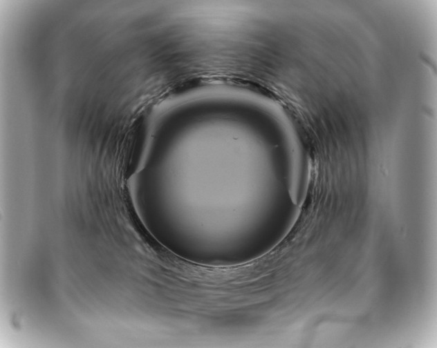 X0000094230039200710261304
