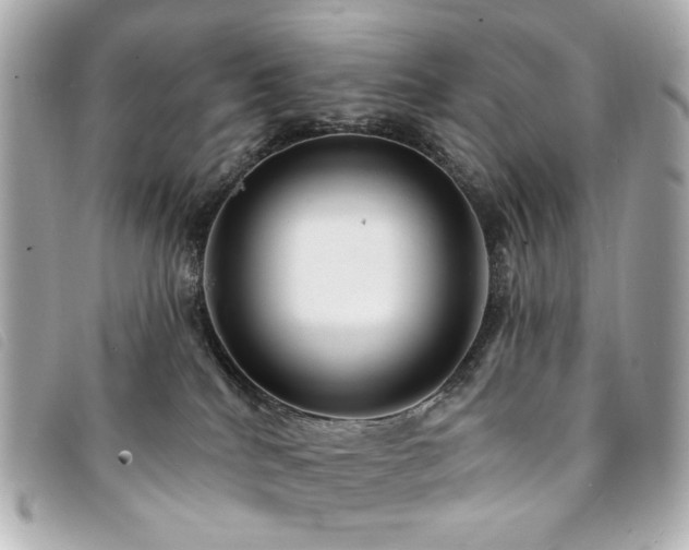X0000094230040200710261304