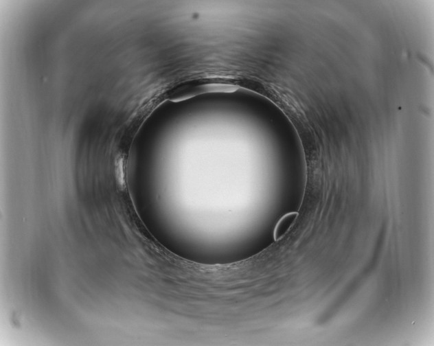 X0000094230042200710261304